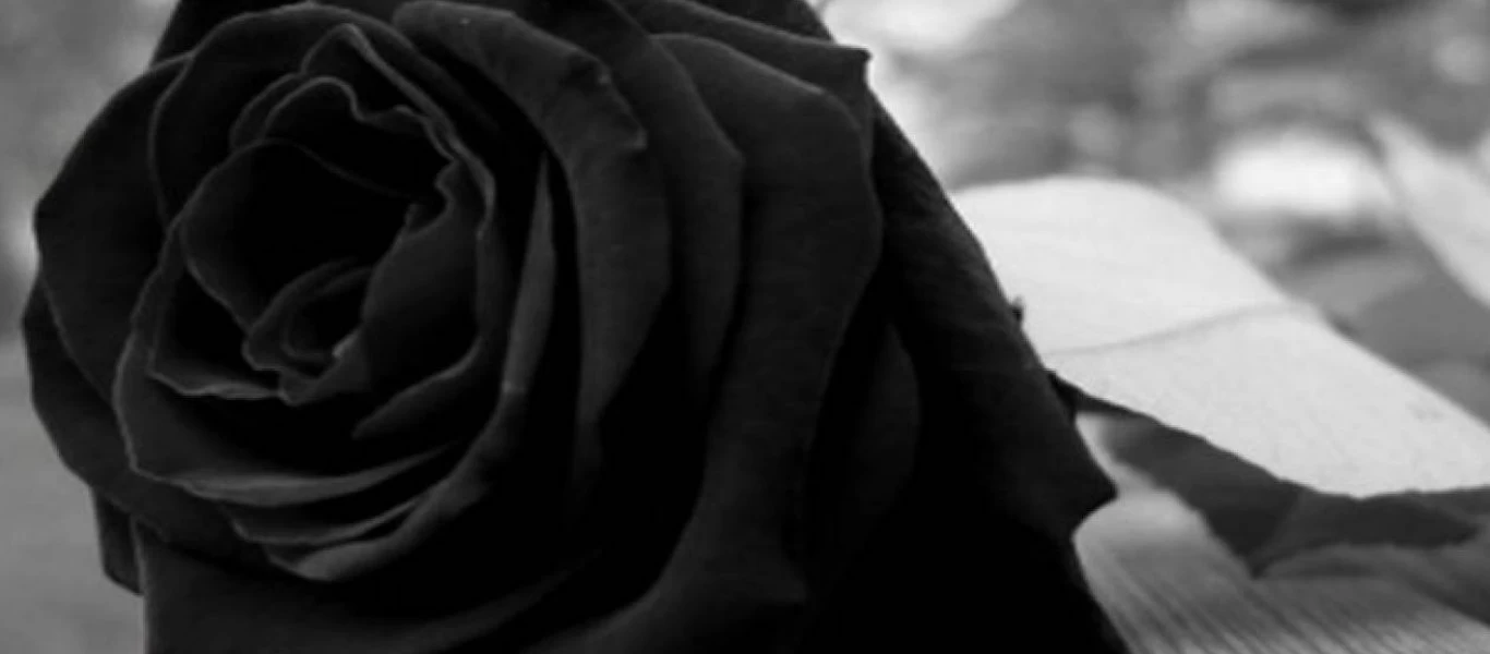 Ποιος κορωνοϊός; - Δείτε τις 10 ασθένειες που μπορούν να σκοτώσουν μέσα σε μια μέρα (βίντεο)